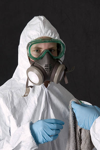 Best Asbestos and Lead Testing During Mold Inspection  in Lakeview, MI